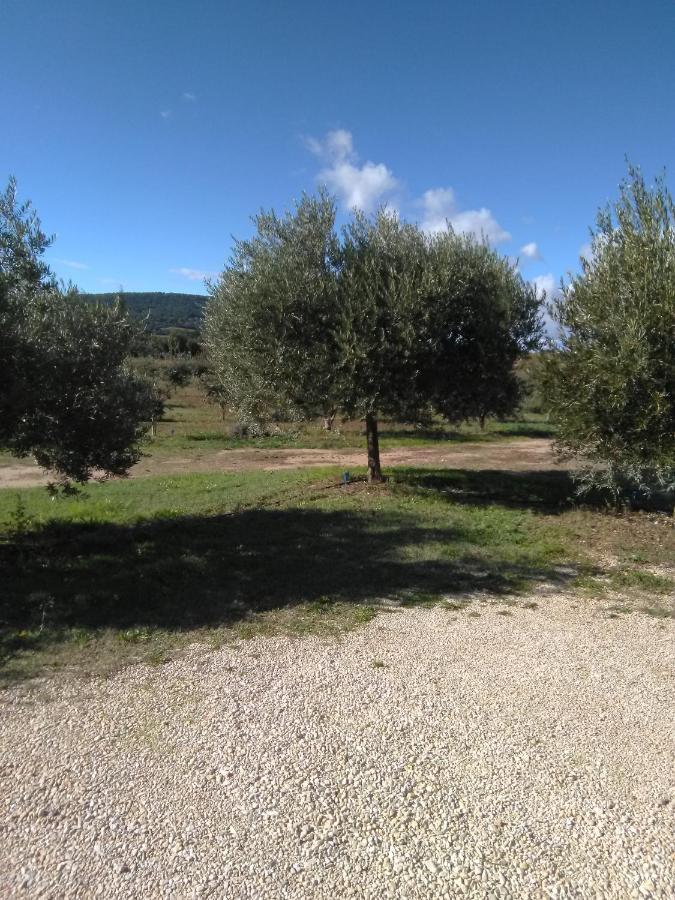 Vacances Vaison la Romaine Exterior foto